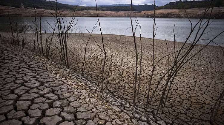 Water lorries and reused wastewater: How EU countries battle drought