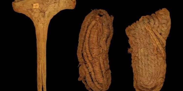 Europe�s oldest shoe found in Spanish bat cave