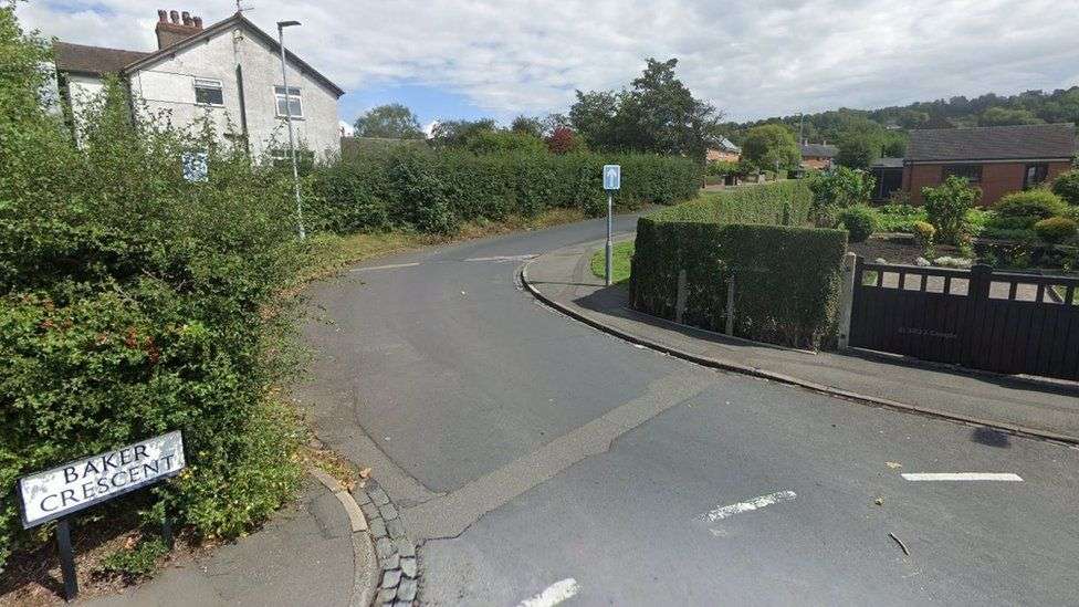 Women in hospital after suspected Baddeley Green bully XL attack
