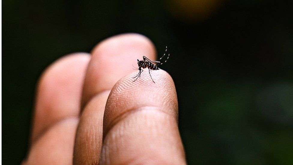 US approves first shot against mosquito-borne virus