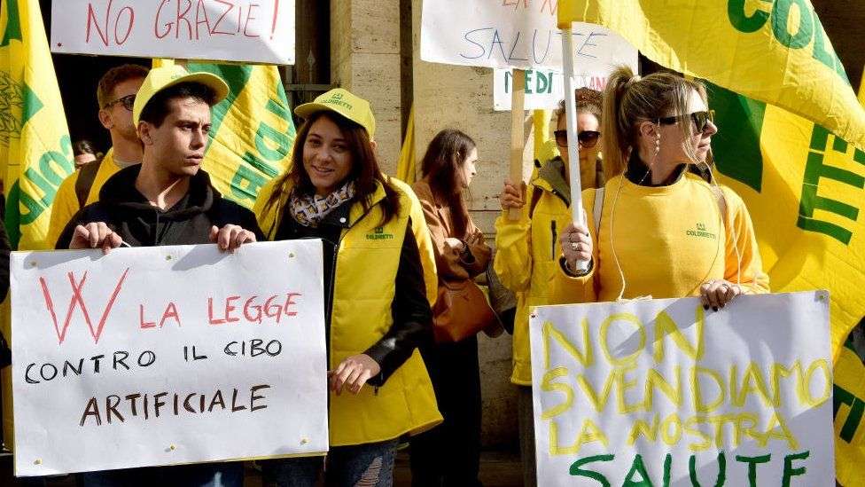 Italy bans lab-grown meat in nod to farmers