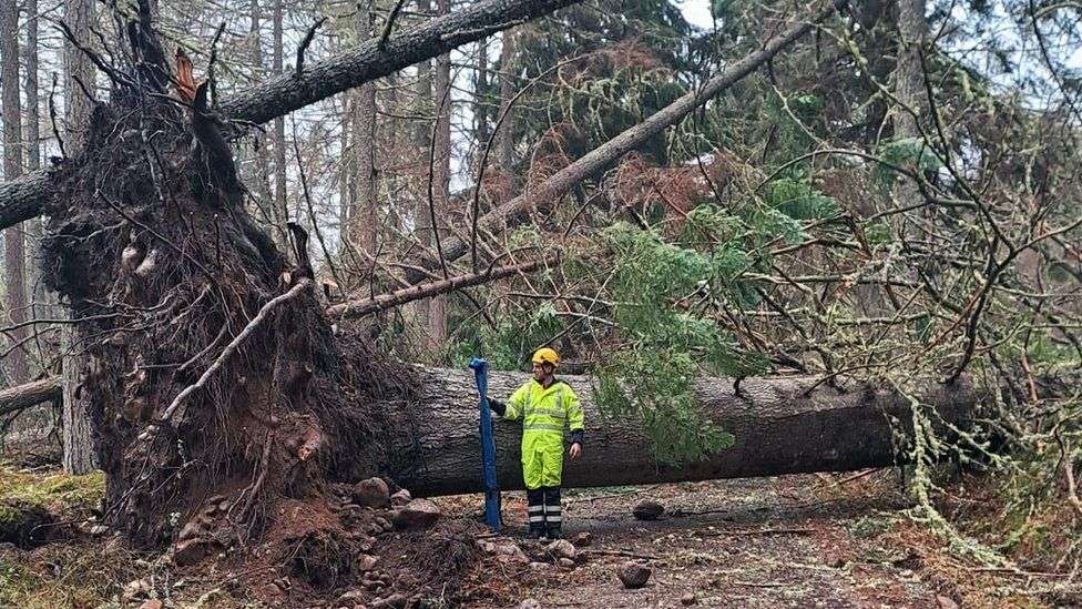 Homes have second night without power after Storm Gerrit