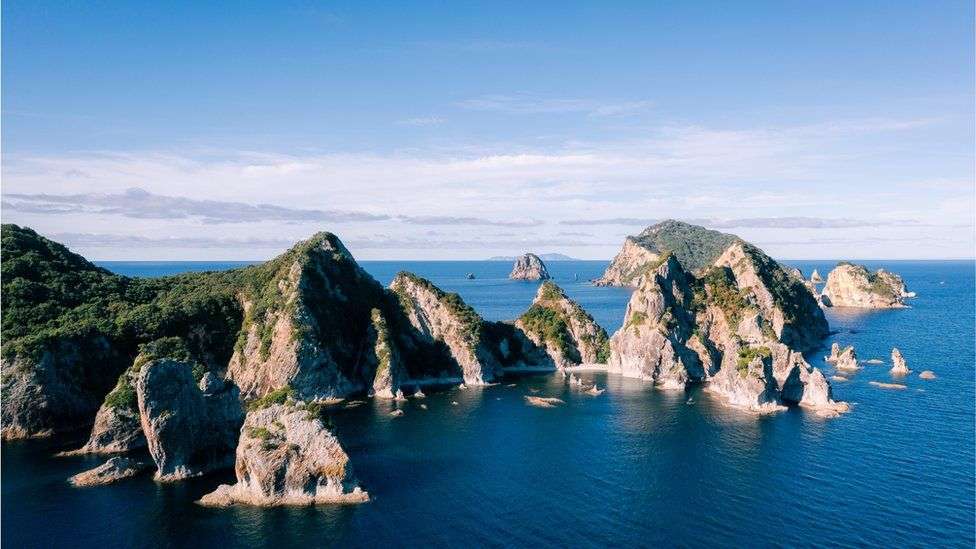 New Zealand: Man's watch reflection leads to rescue after day in ocean