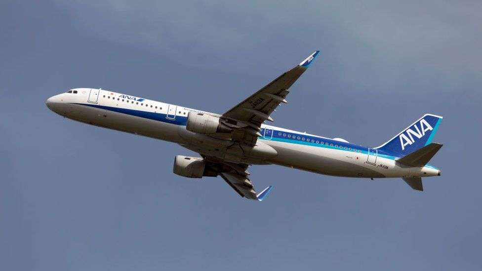 Flight returns to Japan after �drunk� man bites crew member