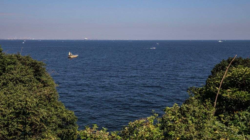 Bather rescued 80km from Japan beach after 36 hours