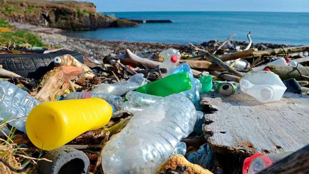 Ireland's waste increases by more than 20% in past decade