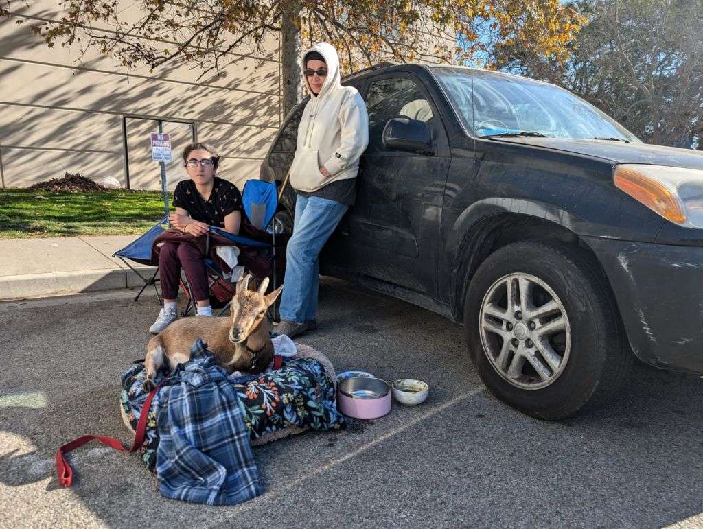 LA fire victims fear new housing crisis