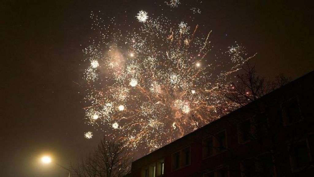 Dutch vote to ban New Year's fireworks, but not just yet