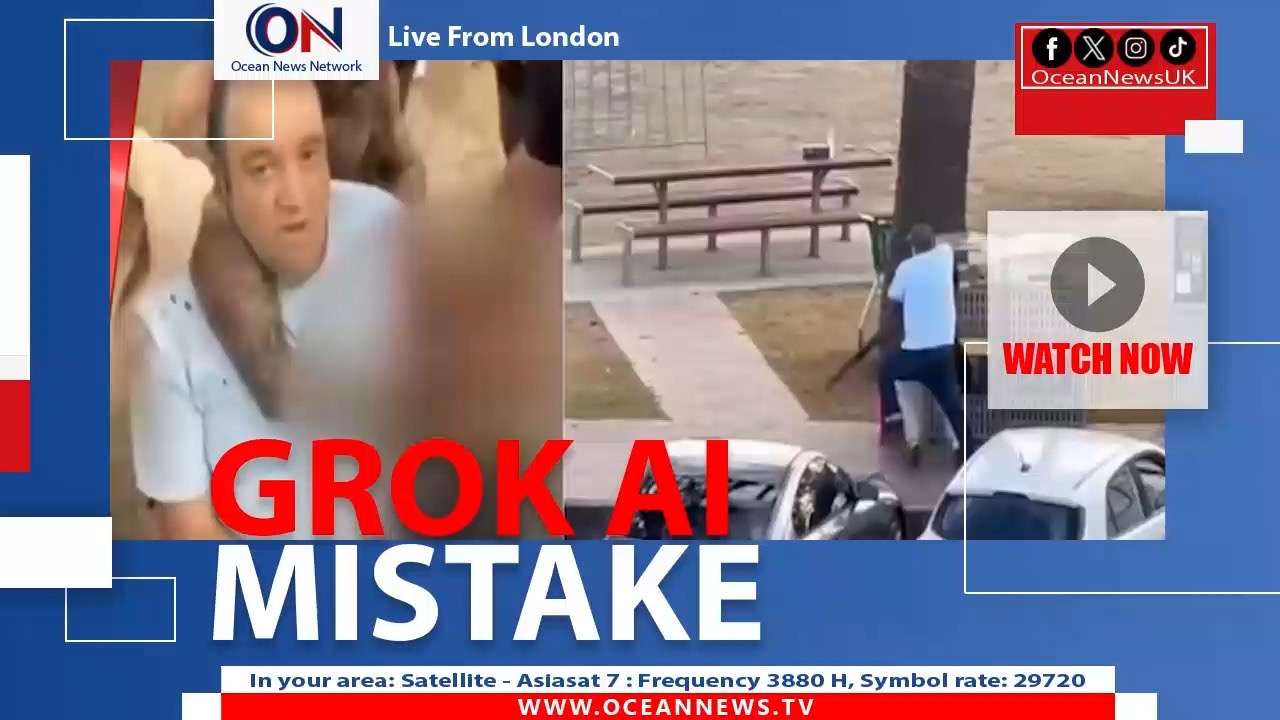Grok AI Mistake 