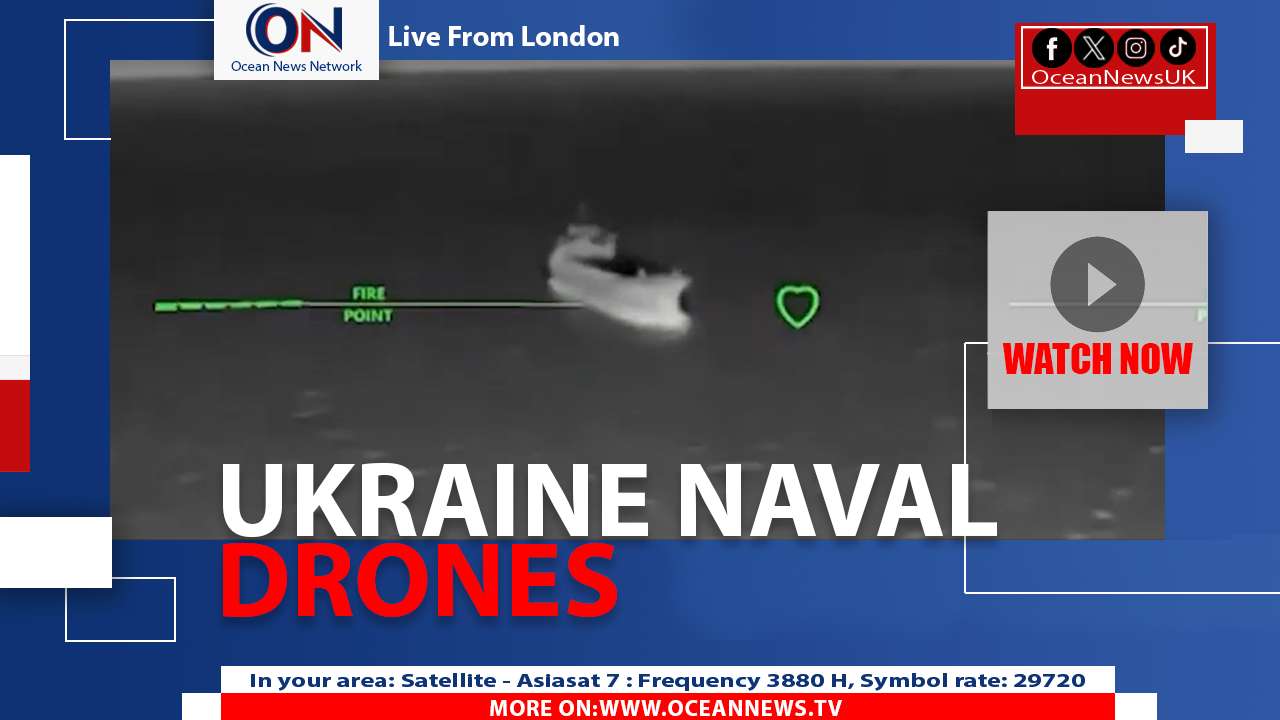 Ukraine Releases Drone Footage of Strikes on Russian Vessels